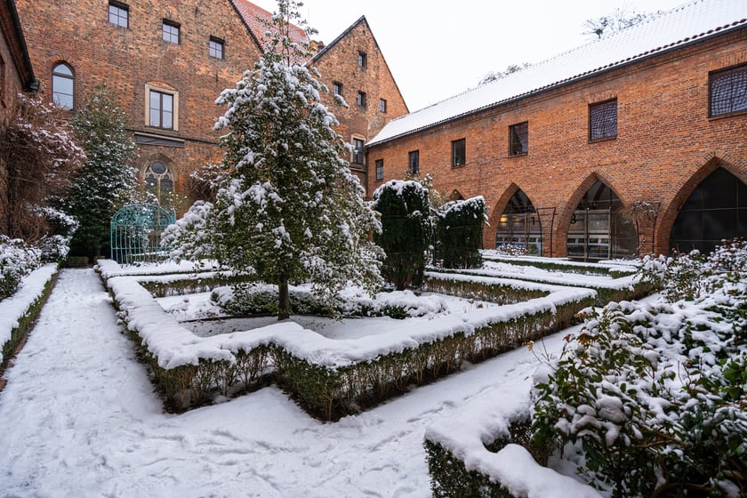 Wirydarz w Muzeum Architektury we Wrocławiu